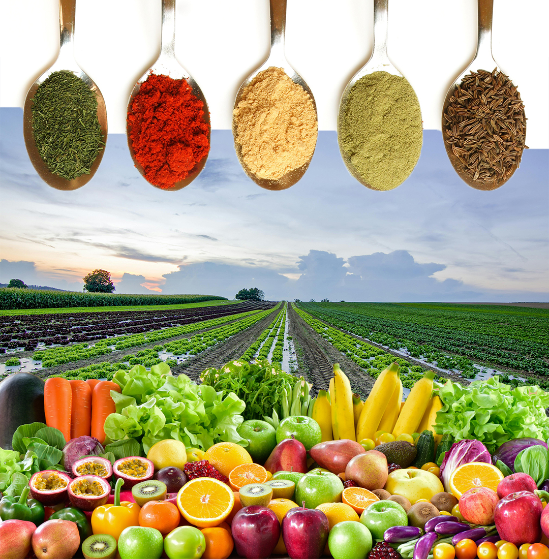 Welcome to ZeeDry Foods